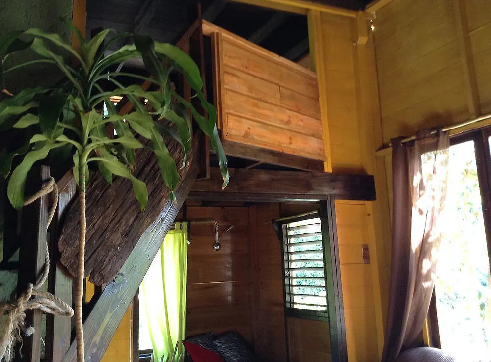 Rafjam Bed & Breakfast Newcastle 3*,  Jamaika