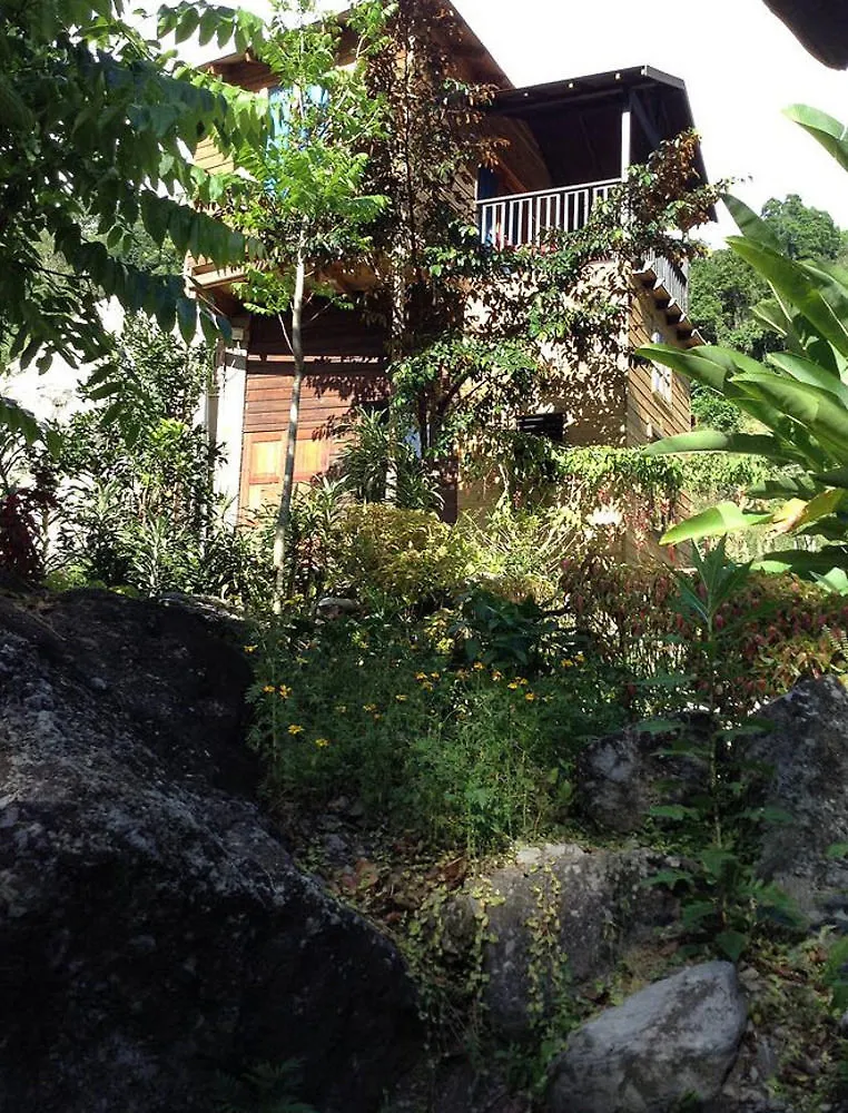 Rafjam Bed & Breakfasts kontakt