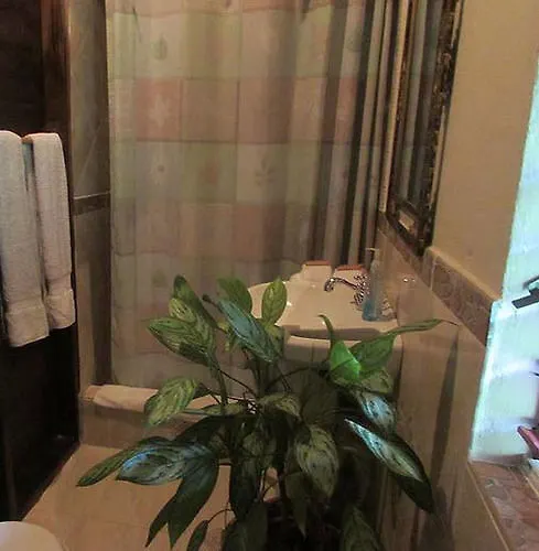 Rafjam Bed & Breakfast Newcastle 3*,  Jamaica