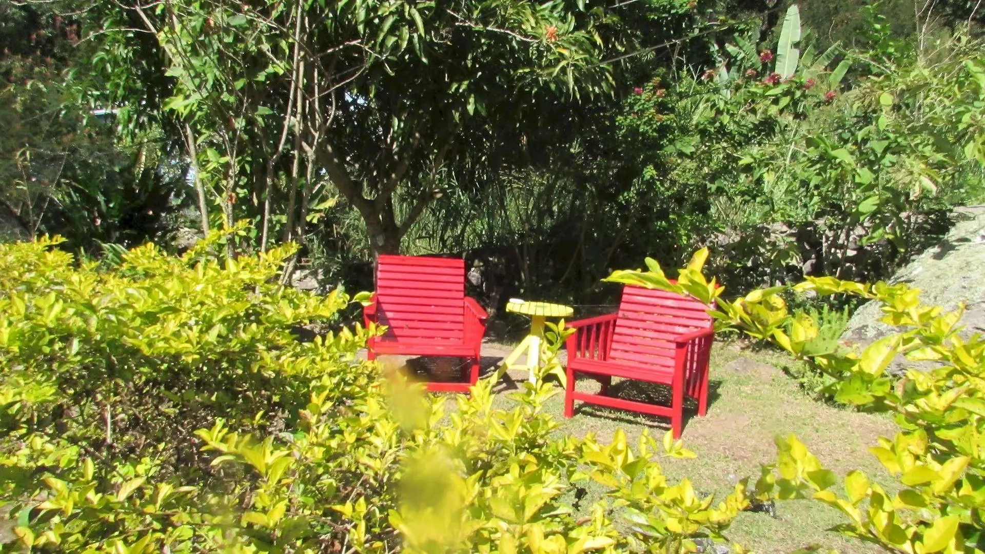 Rafjam Bed & Breakfast Newcastle Jamaica